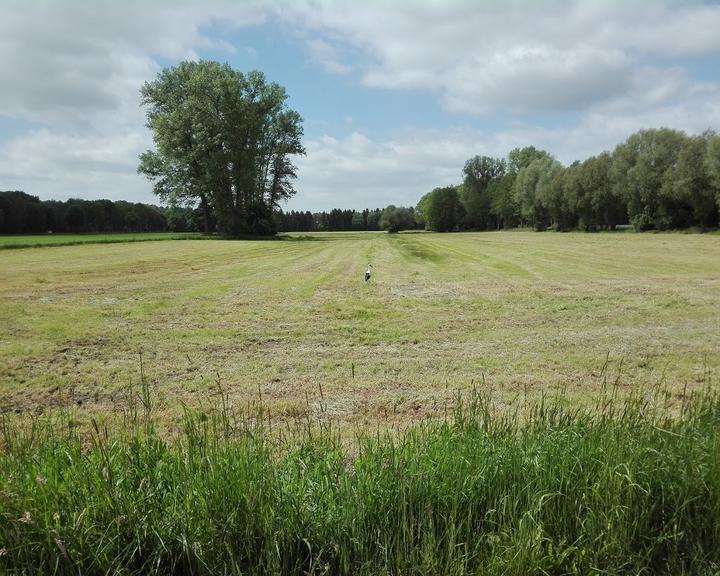 Landgasthof Allerparadies